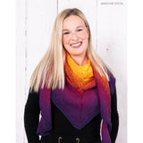 Patron au crochet tunisien - Phénix