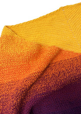 Patron au crochet tunisien - Phénix