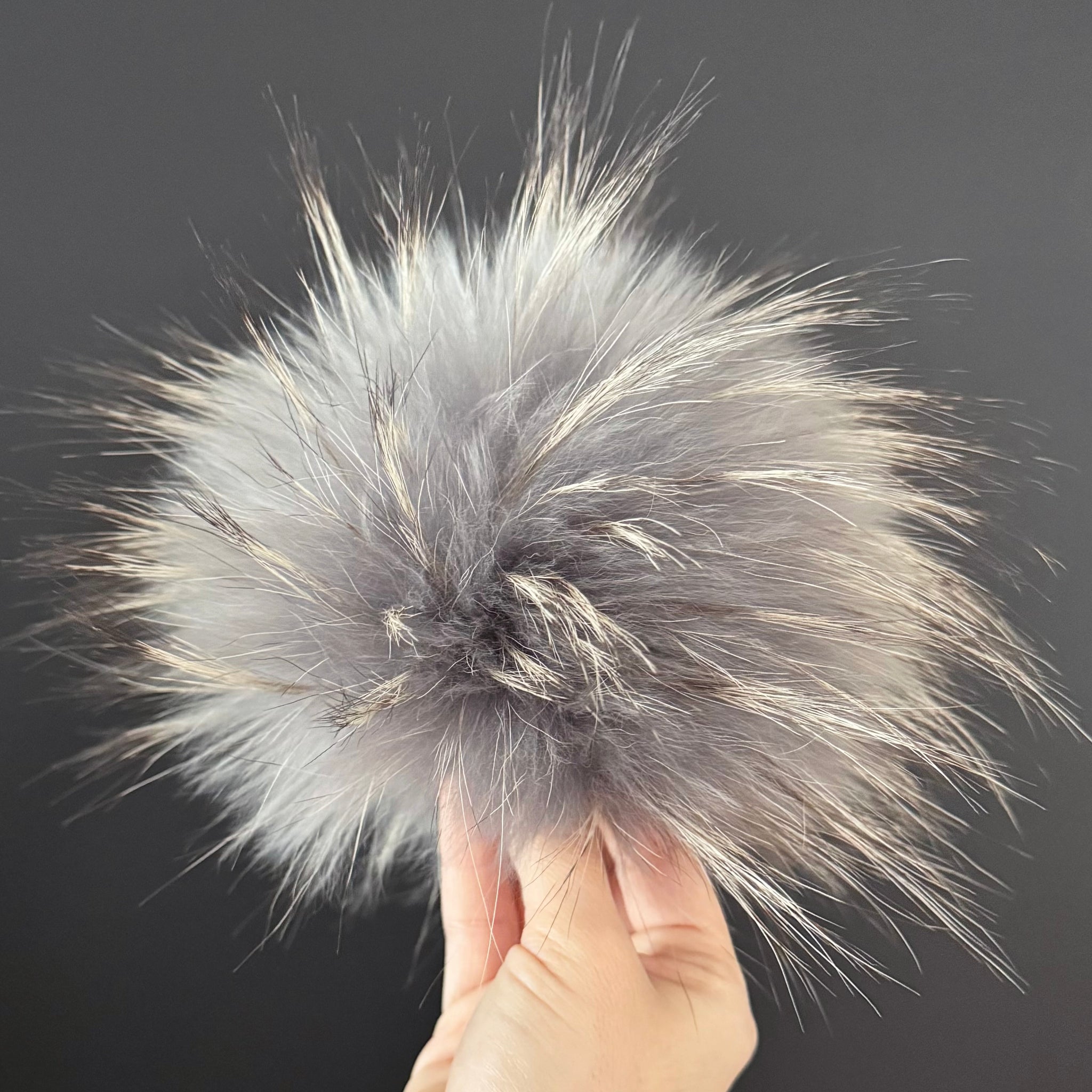 Pompom - Gray