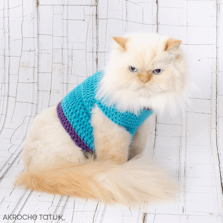 Crocheted sweaters 2024 for cats